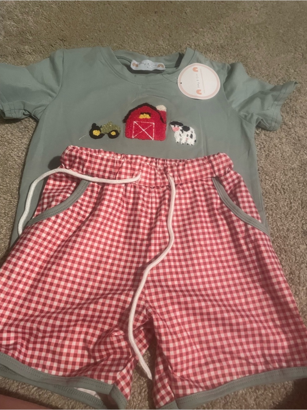 Kids Farm-Themed short Set in Sage Green and Red Gingham